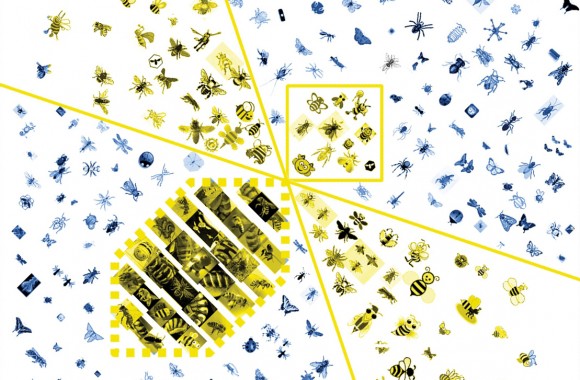 BEES